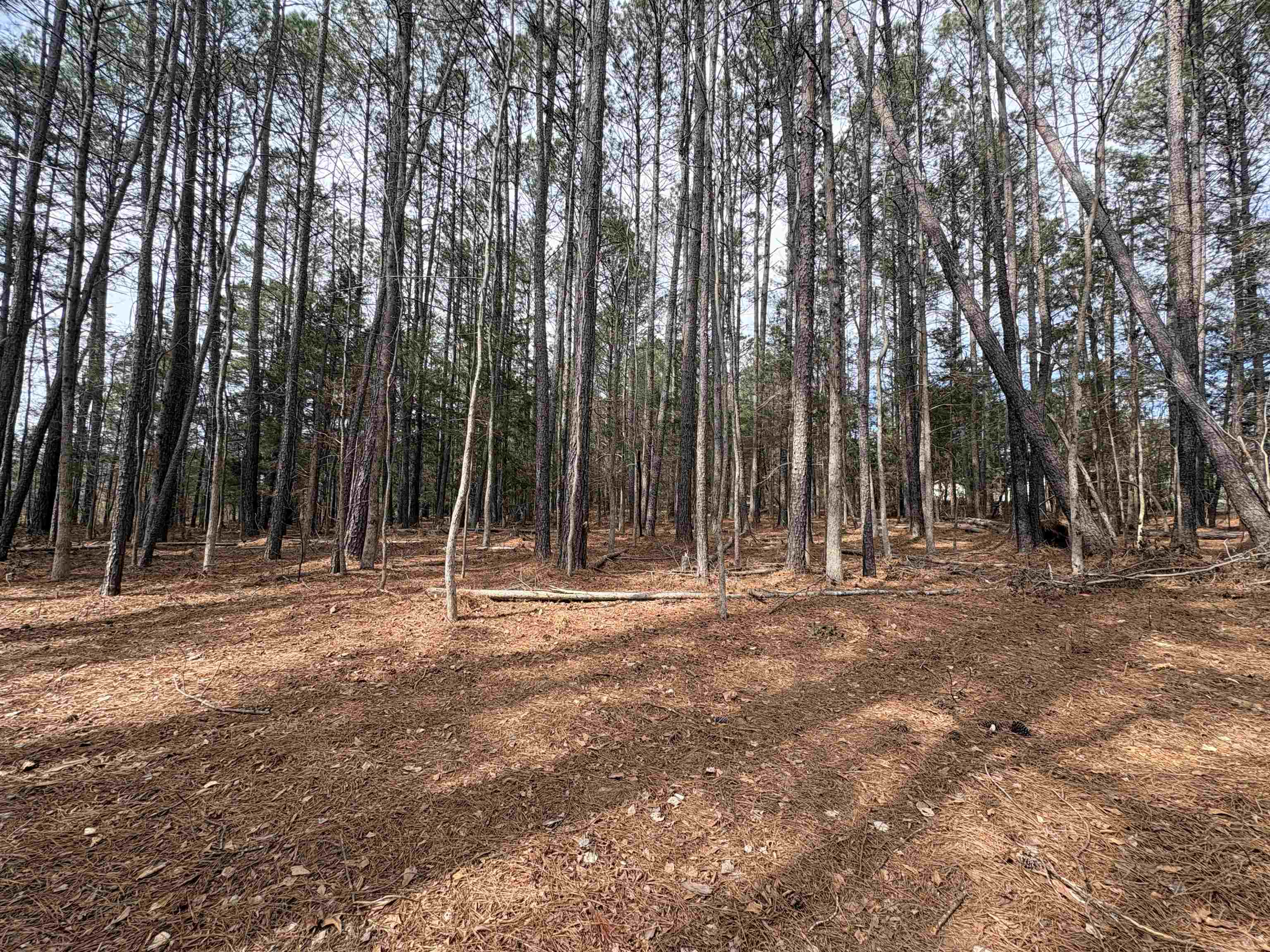 0 Union Highway Pacolet, SC 29372 - Photo 4 of 7