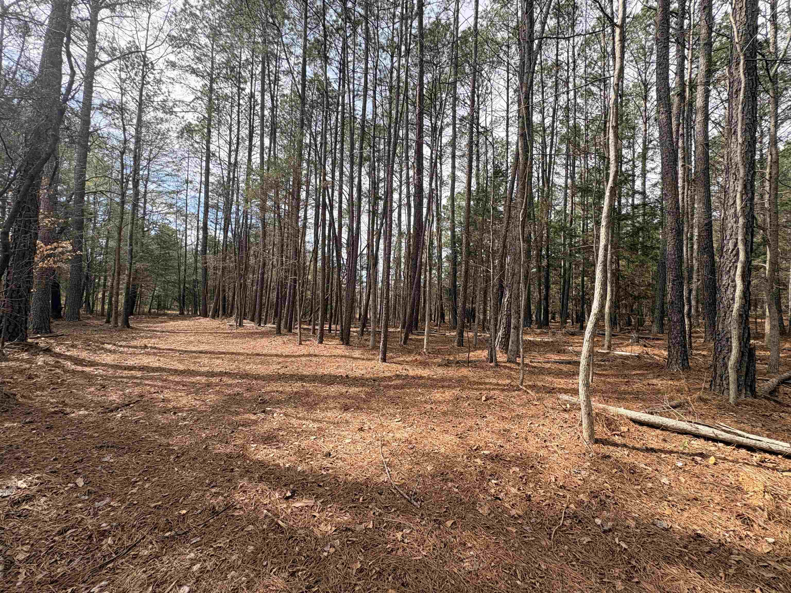 0 Union Highway Pacolet, SC 29372 - Photo 5 of 7