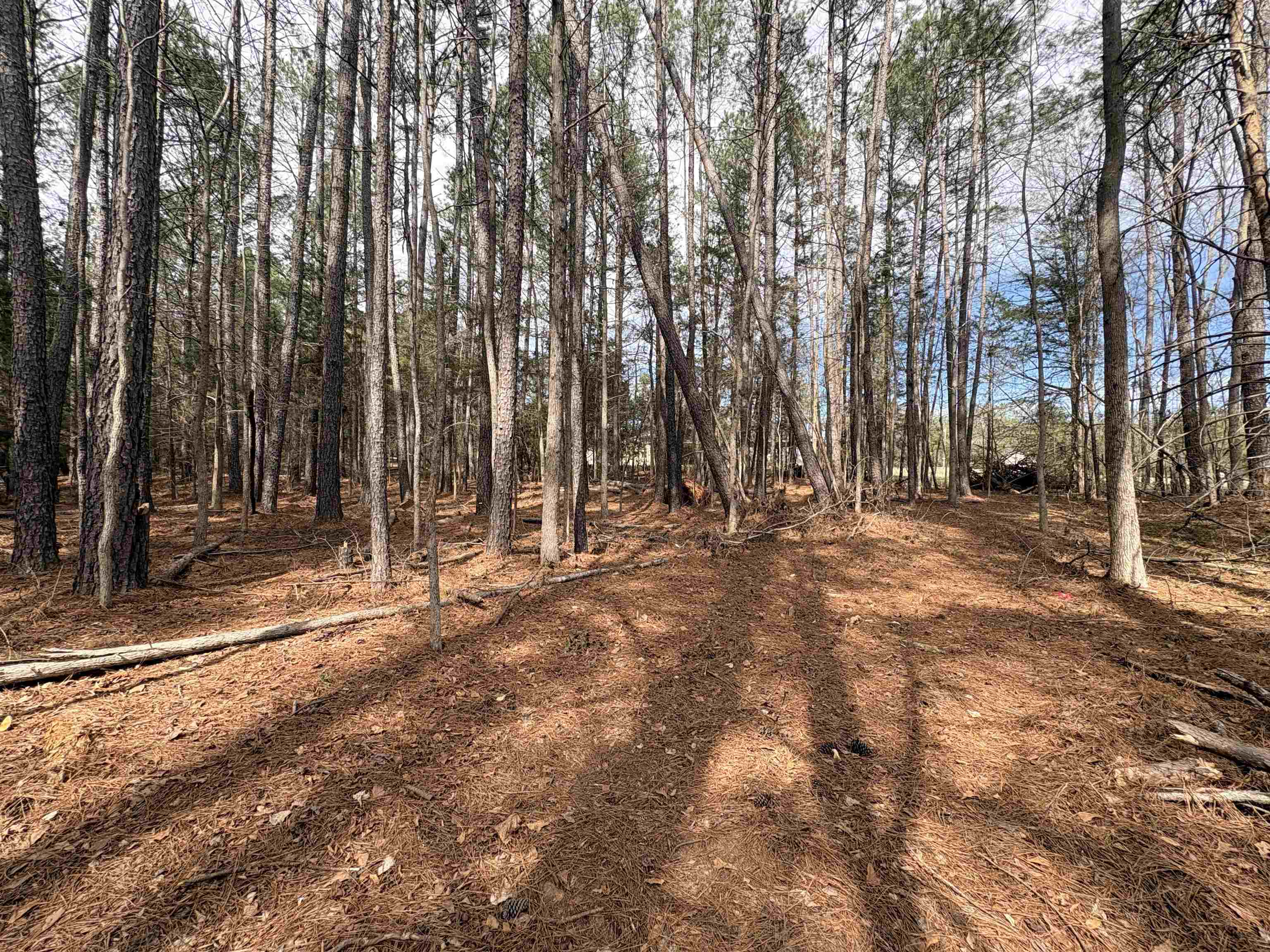 0 Union Highway Pacolet, SC 29372 - Photo 6 of 7