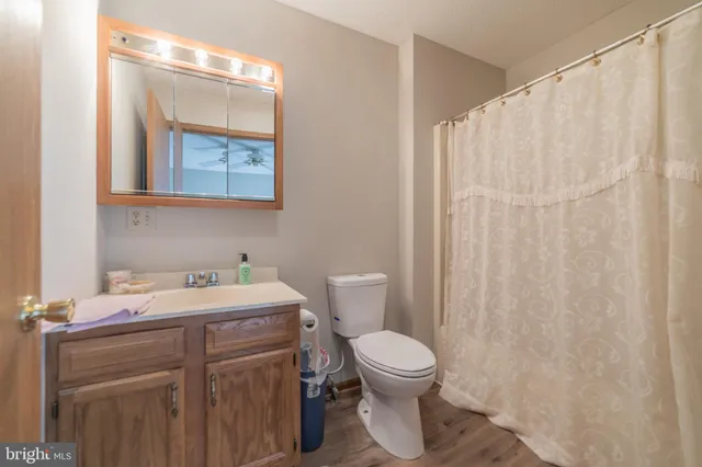 a bathroom with a sink a toilet and a mirror