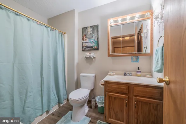 a bathroom with a toilet sink vanity and mirror