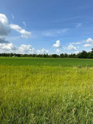 $65,000 | Tbd Sorteberg Drive, Thief River Falls, MN 56701