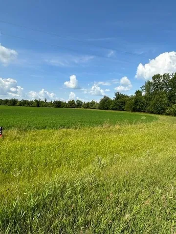 $65,000 | Tbd Sorteberg Drive, Thief River Falls, MN 56701