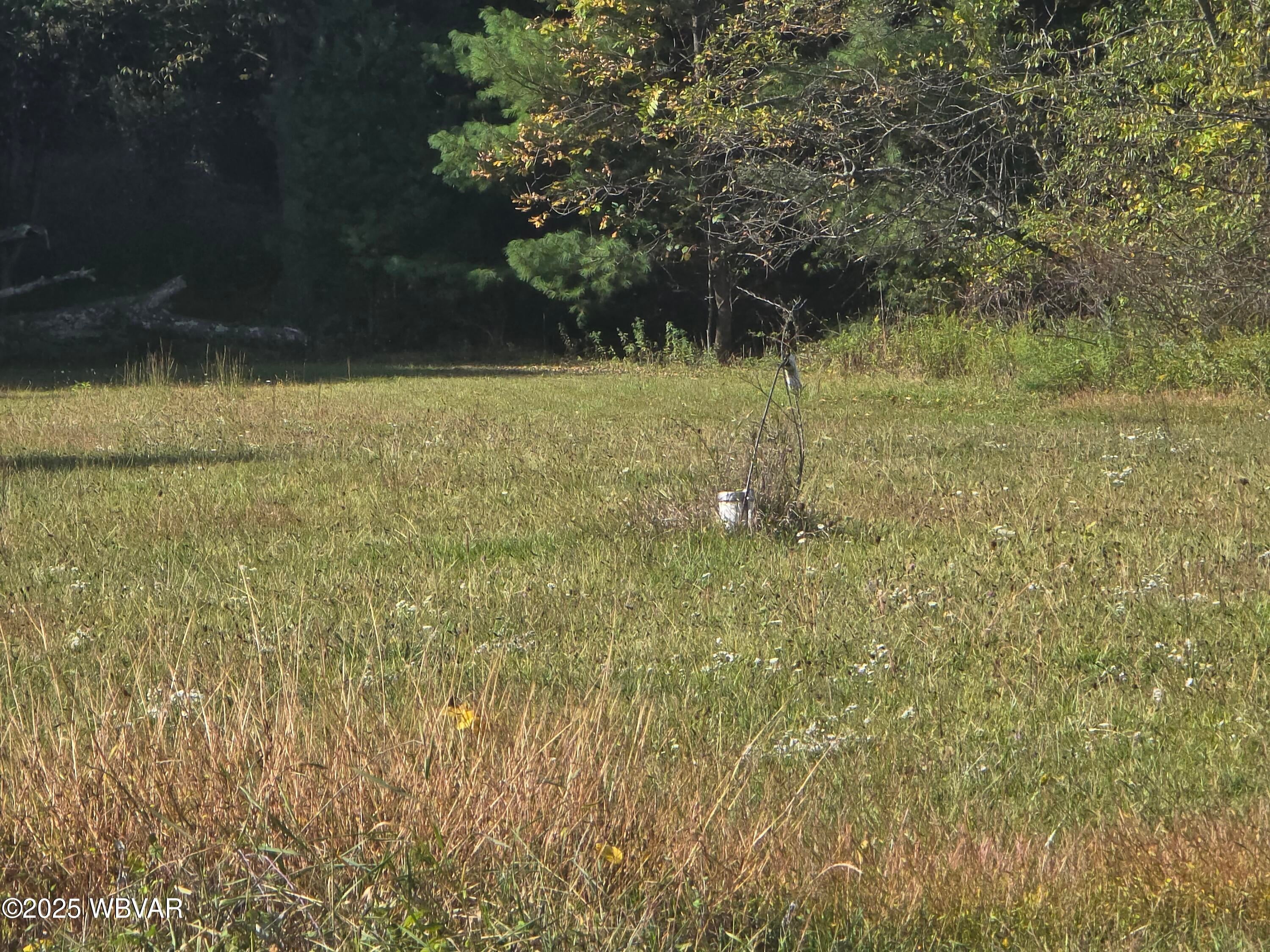 601 Dutch Hollow Road Jersey Shore, PA 17740 - Photo 4 of 32 20250930_154905