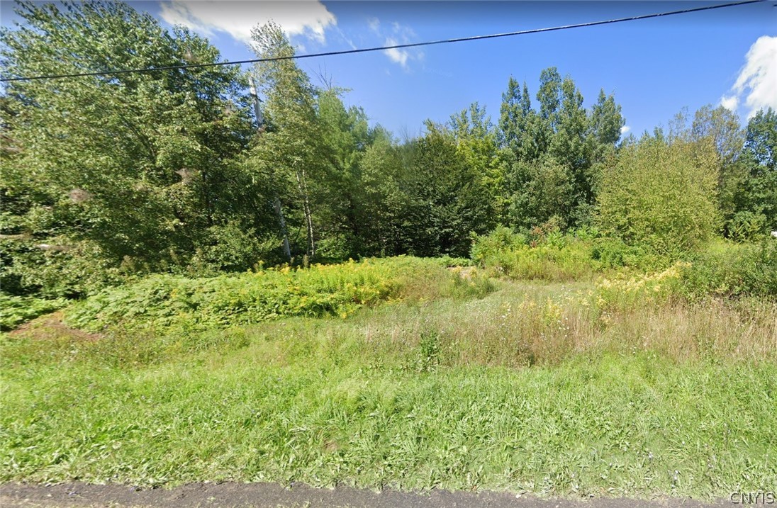 0 Co Rt 30a Altmar, NY 13302 - Photo 1 of 1 Land
