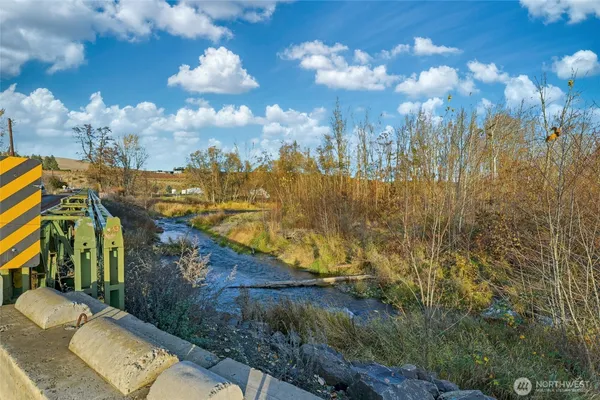 a view of a pathway both side of building