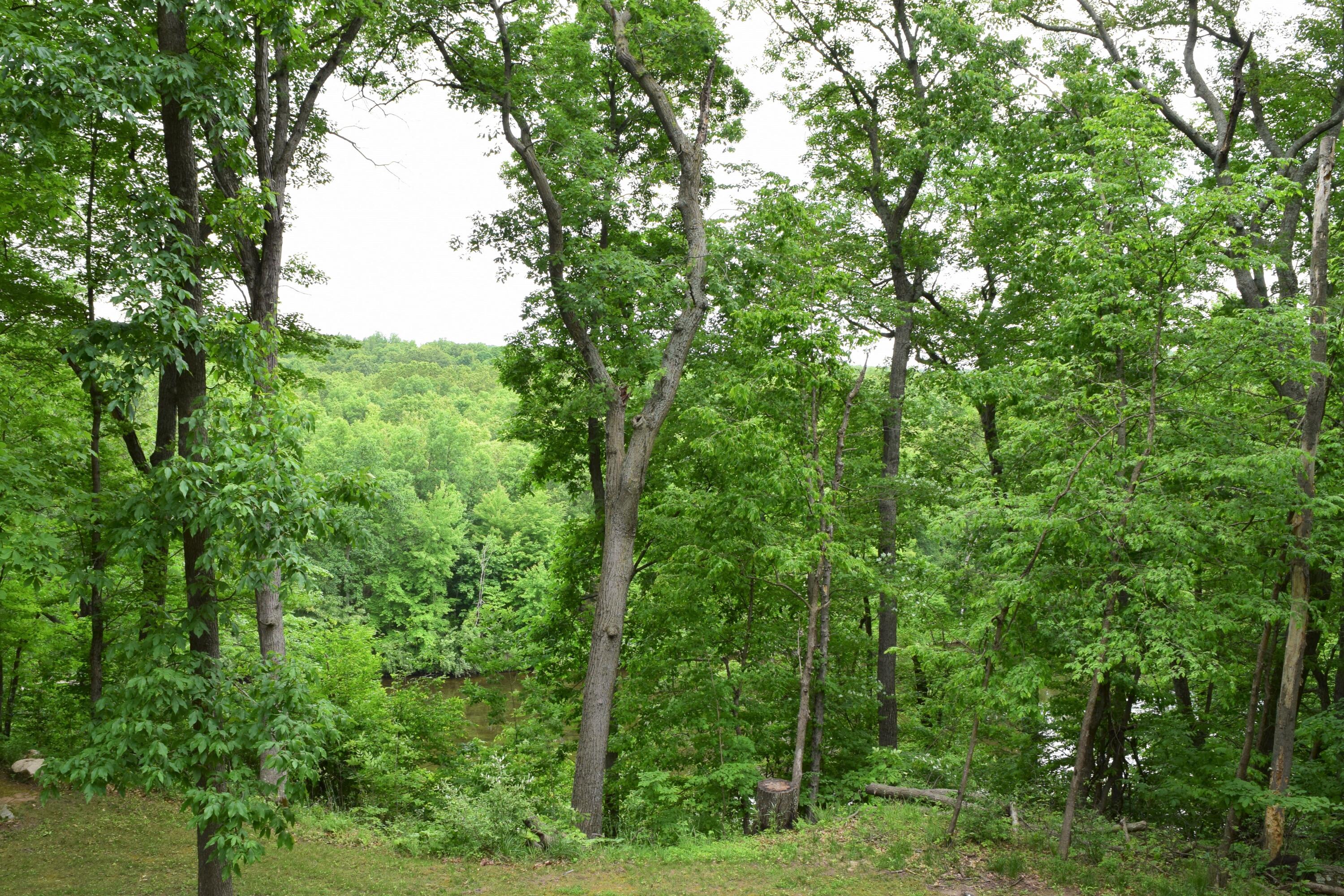9694 Krupp Road Belding, MI 48809 - Photo 17 of 40 DSC_0528
