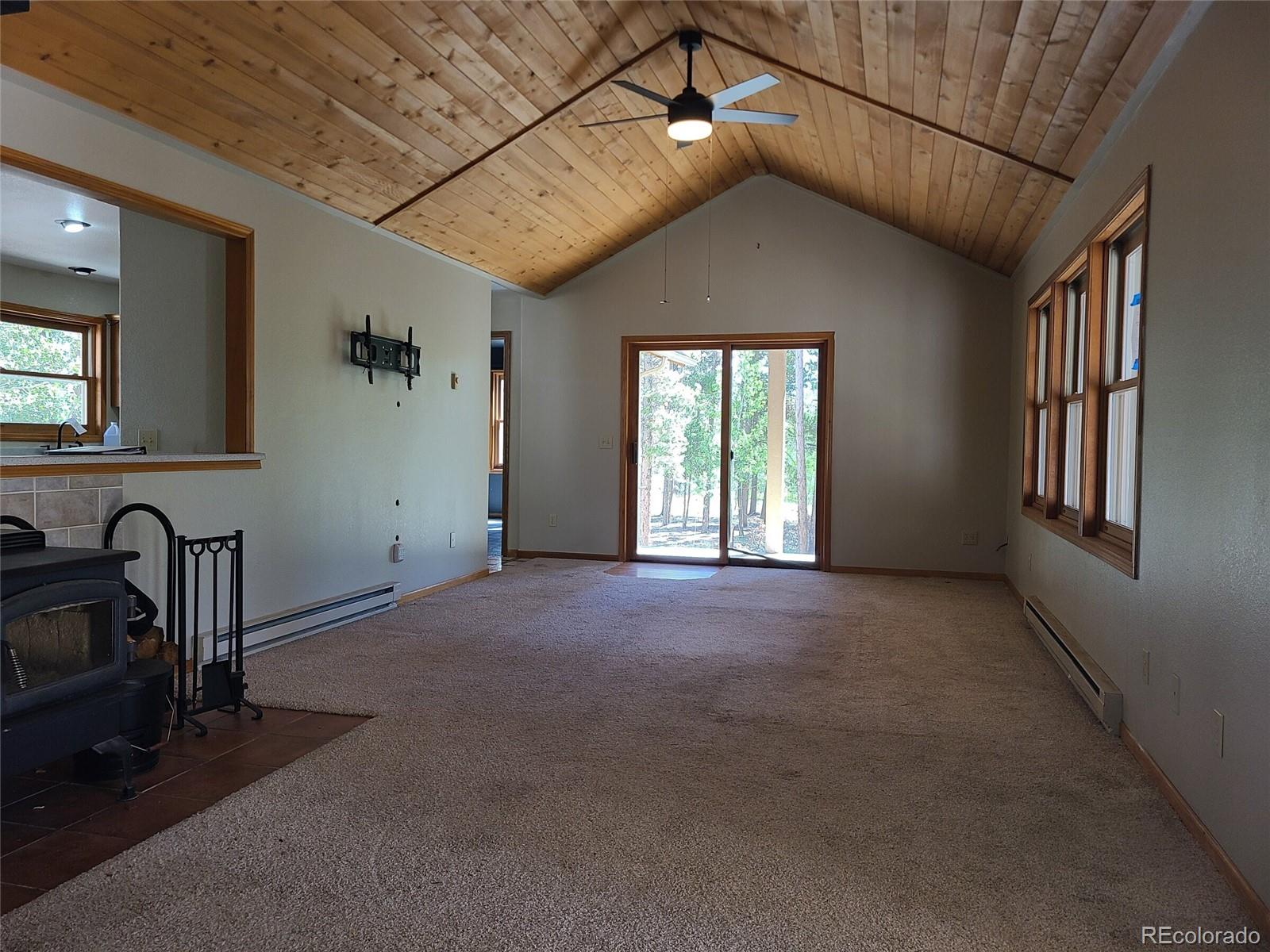 757 Thompson Park Road Fairplay, CO 80440 - Photo 2 of 34 Gallery Image 2