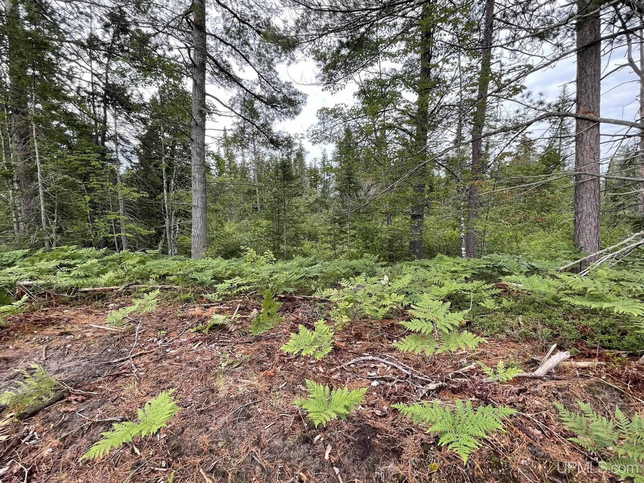 Tbd Tbd Hay Meadow Road Manistique, MI 49854 - Photo 47 of 51