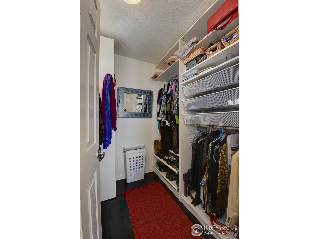 4222 Riley Drive Longmont, CO 80503 - Photo 24 of 40 Walk-in closet.