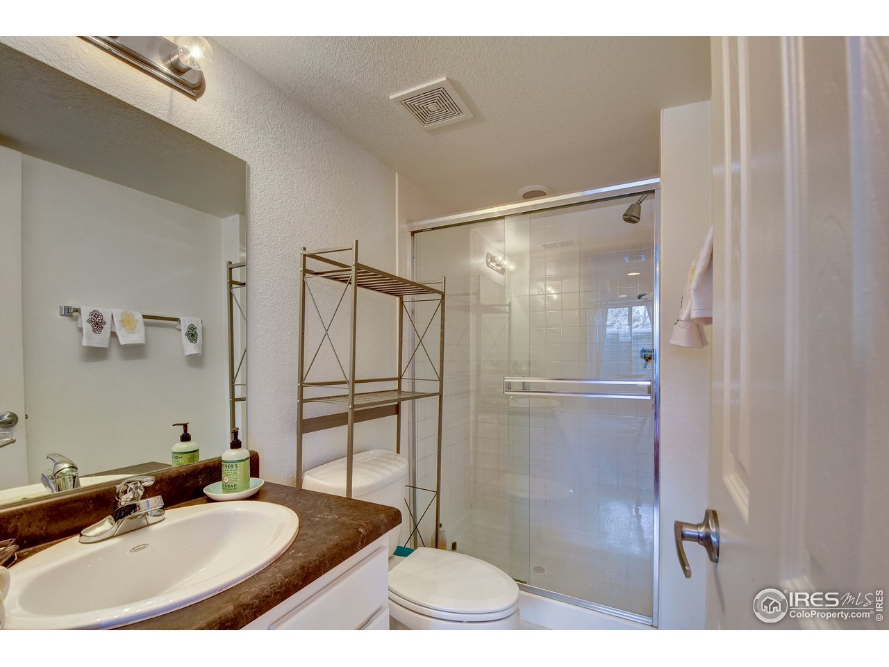 4222 Riley Drive Longmont, CO 80503 - Photo 38 of 40 Third full bathroom .