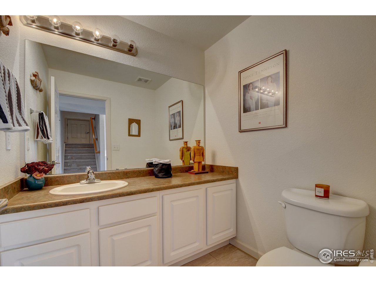 4222 Riley Drive Longmont, CO 80503 - Photo 8 of 40 Large powder room.