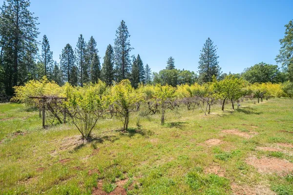 $449,000 | 21855 Graham (elam Ln) Road, Manton, CA 96059