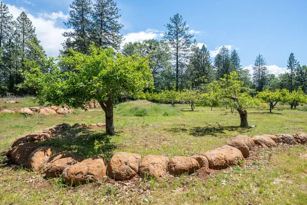 $449,000 | 21855 Graham (elam Ln) Road, Manton, CA 96059