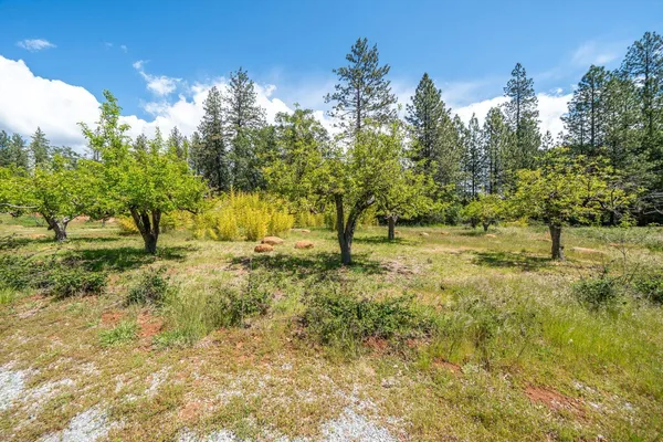 $449,000 | 21855 Graham (elam Ln) Road, Manton, CA 96059