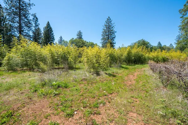 $449,000 | 21855 Graham (elam Ln) Road, Manton, CA 96059