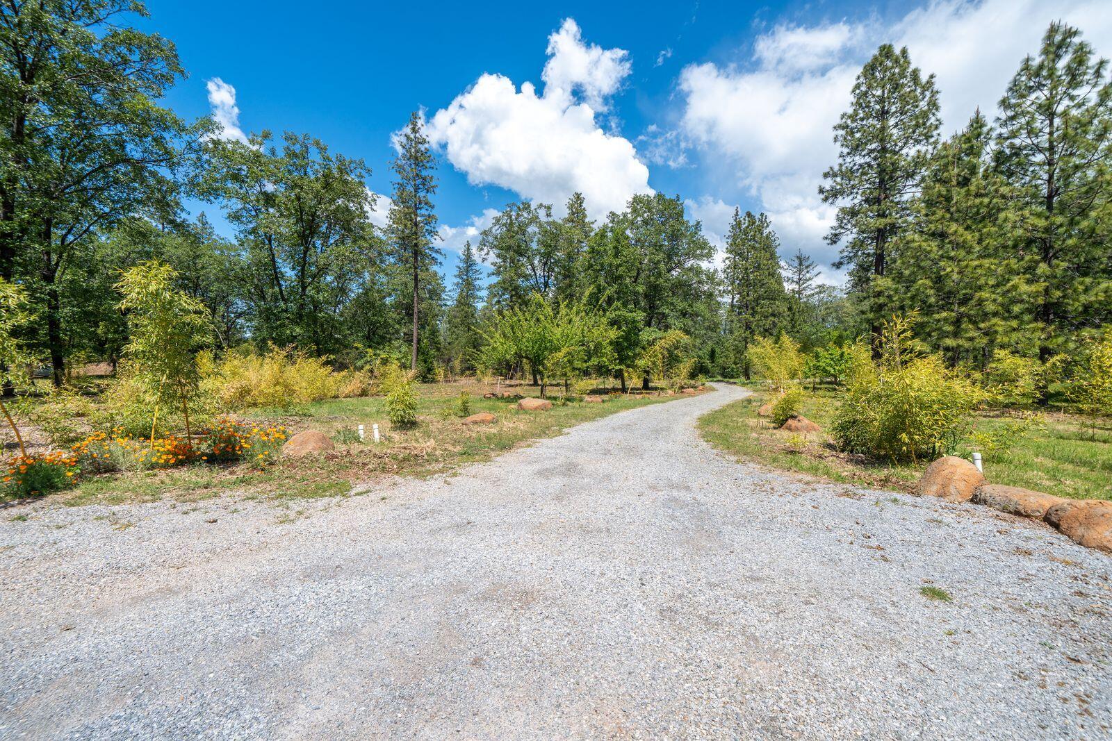 21855 Graham (elam Ln) Road Manton, CA 96059 - Photo 49 of 82 nK5fr0gw