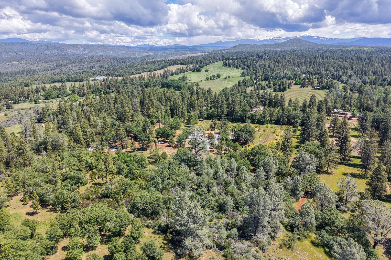 21855 Graham (elam Ln) Road Manton, CA 96059 - Photo 57 of 82 zTbRfUEA