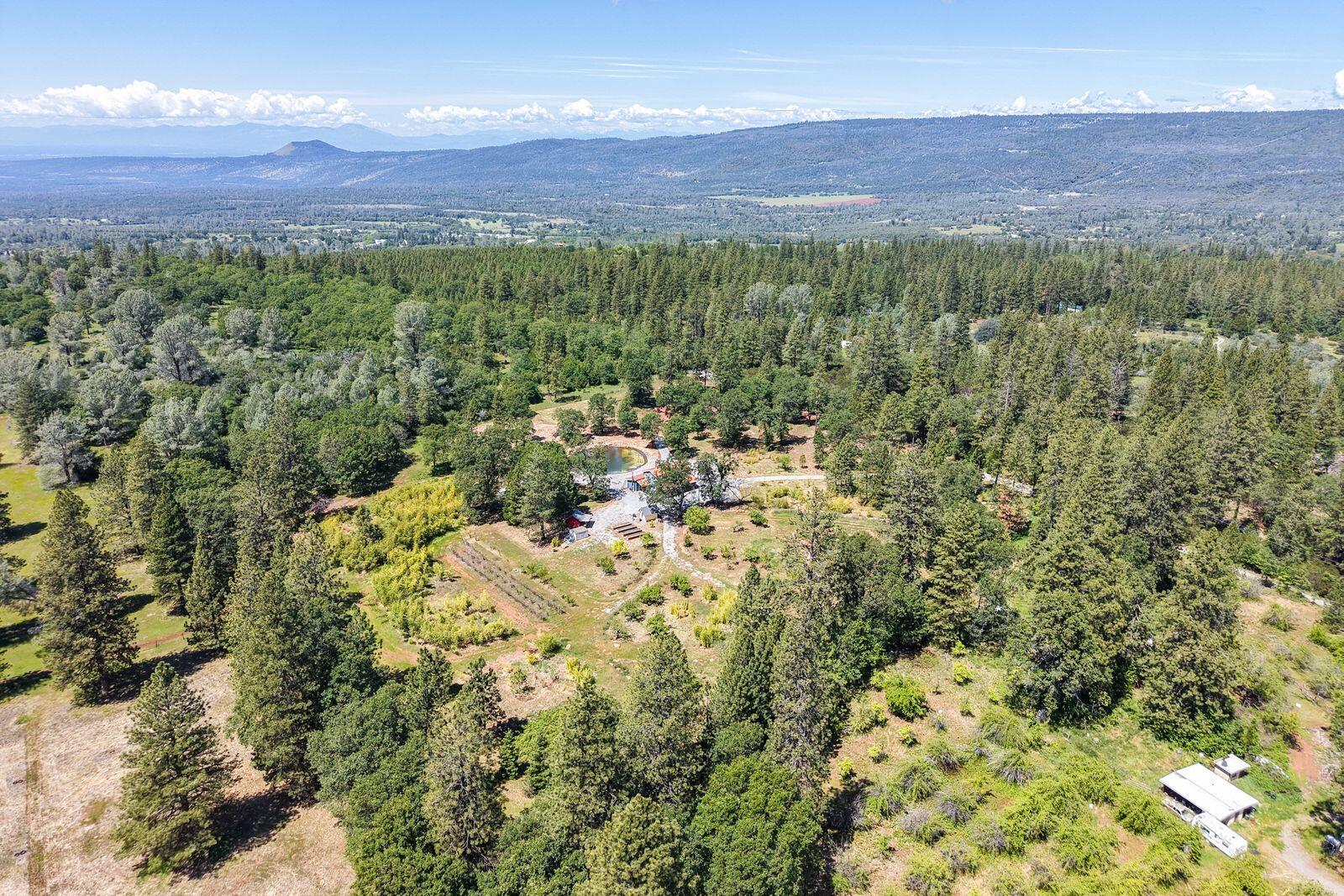 21855 Graham (elam Ln) Road Manton, CA 96059 - Photo 59 of 82 x3b5Nohg