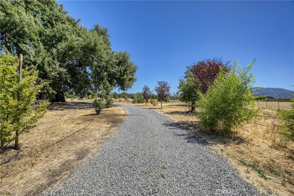 1980 Big Valley Road Lakeport, CA 95453 - Photo 54 of 56 a view of road with trees
