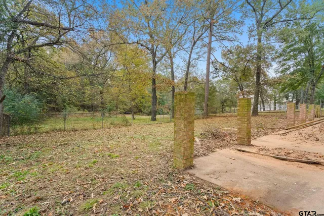 a view of a yard with trees