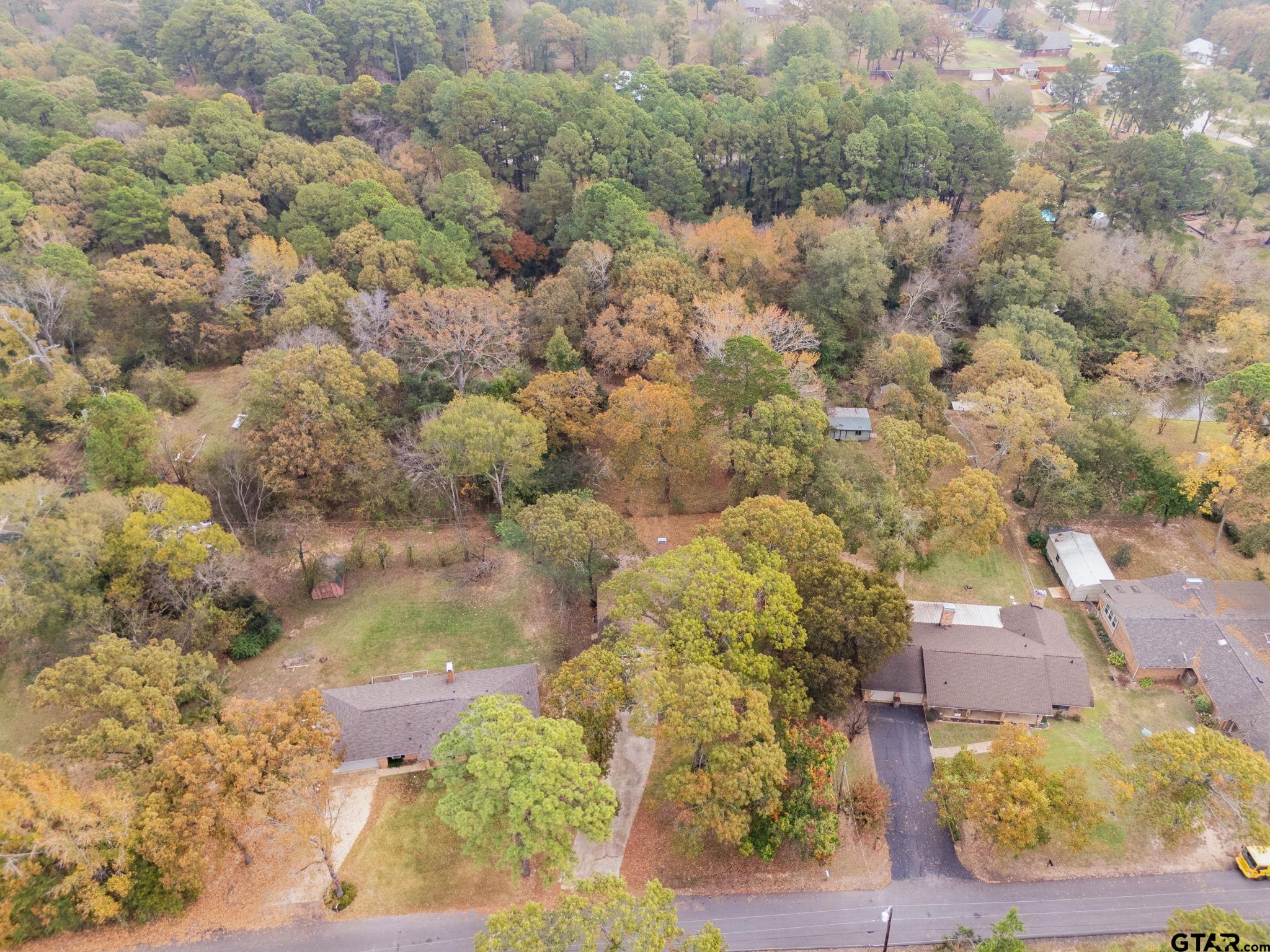 21135 County Road 1291 Flint, TX 75762 - Photo 25 of 25 a view of a city