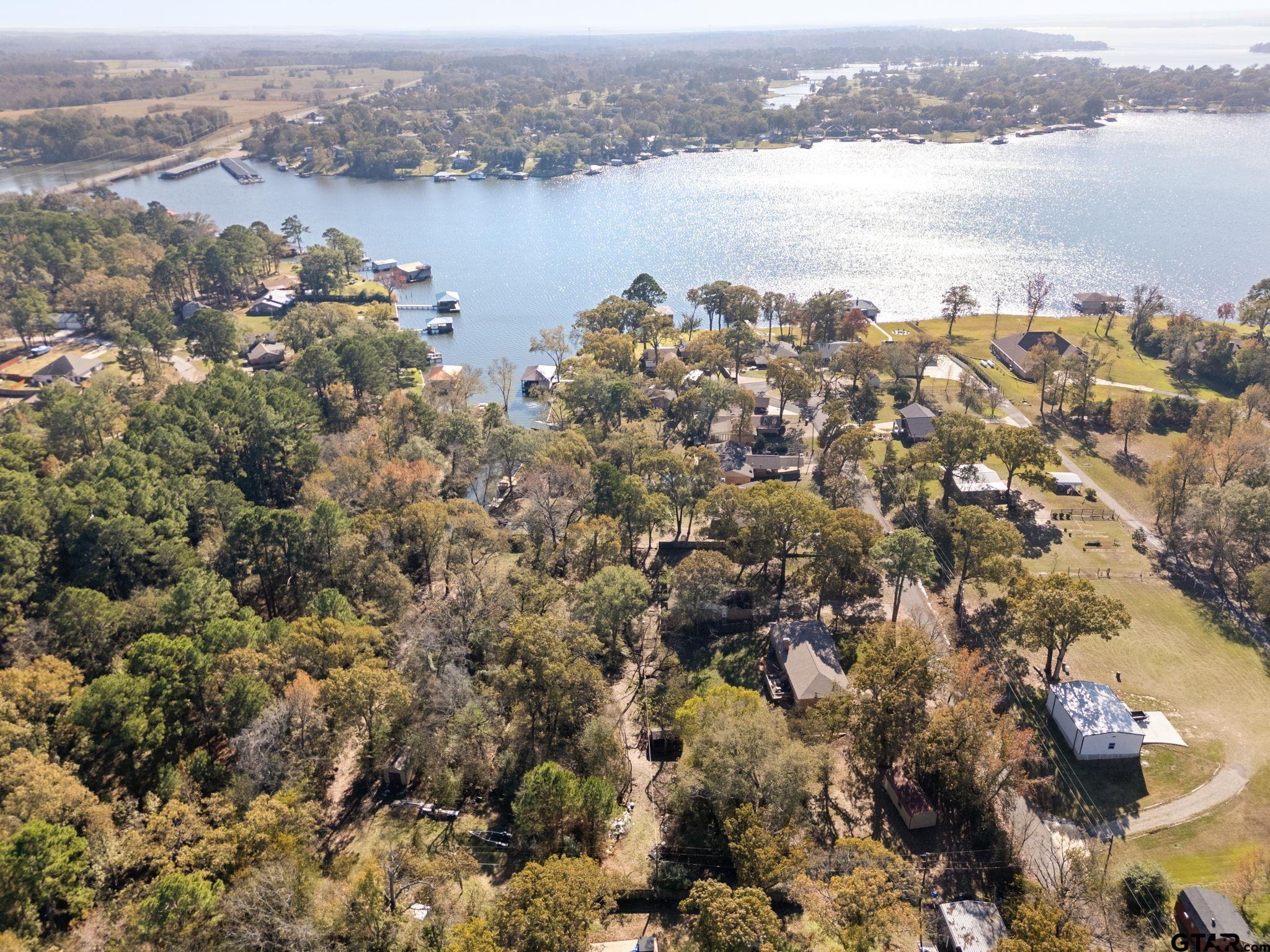 21135 County Road 1291 Flint, TX 75762 - Photo 9 of 25 a view of lake and mountain