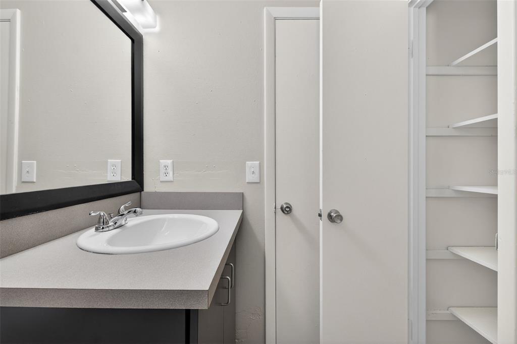 4915 Billy Direct Lane Lutz, FL 33559 - Photo 39 of 73 a bathroom with a sink and a mirror