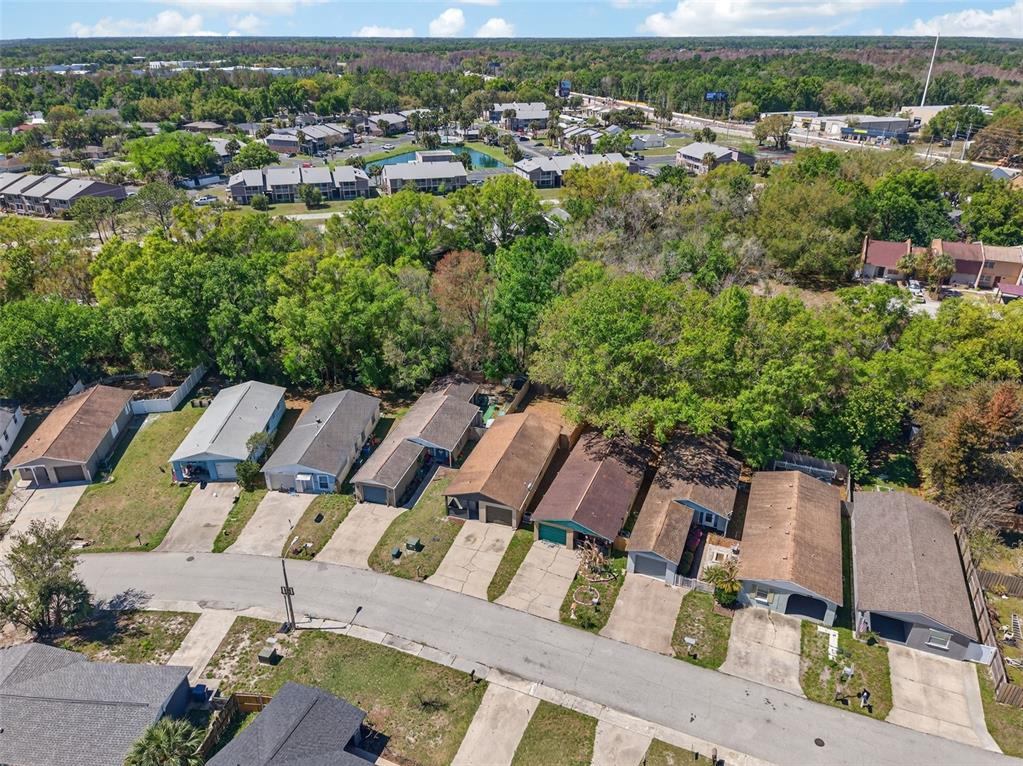 4915 Billy Direct Lane Lutz, FL 33559 - Photo 60 of 73