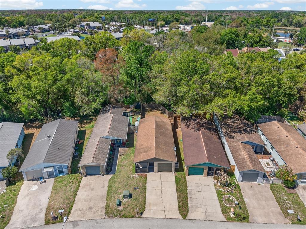 4915 Billy Direct Lane Lutz, FL 33559 - Photo 72 of 73 an aerial view of residential houses with outdoor space