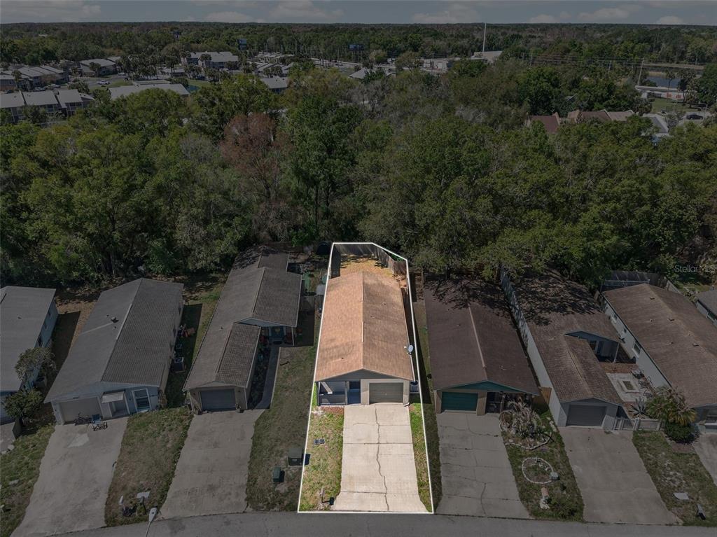 4915 Billy Direct Lane Lutz, FL 33559 - Photo 73 of 73