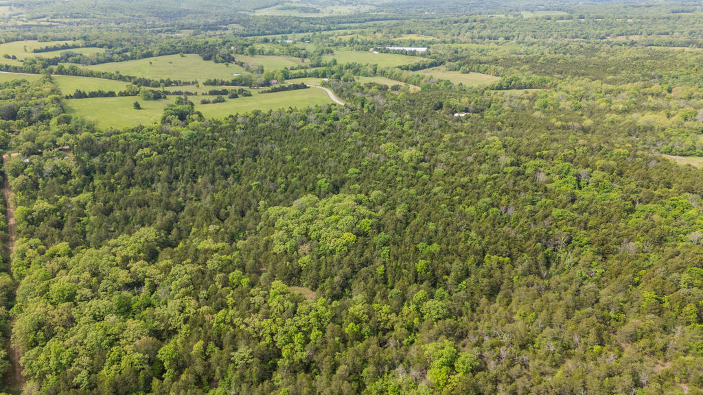 1 Horseshoe Bnd Road Lead Hill, AR 72644 - Photo 14 of 46 Extensive tree coverage with varied foliage, bordering open green fields and a distant winding road