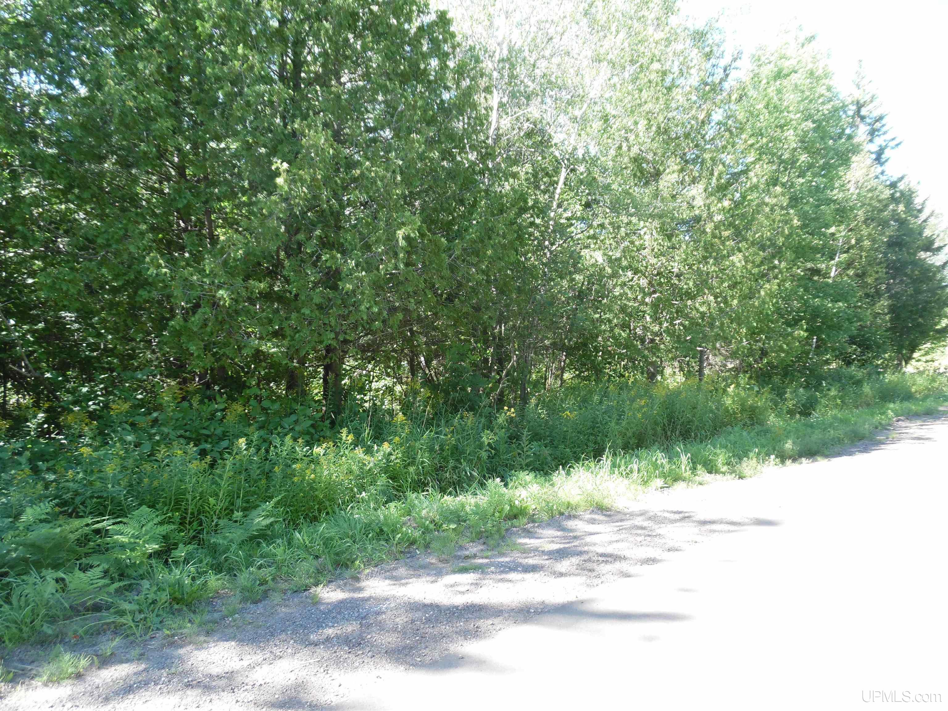 Tbd-00 Rauhala Road Atlantic Mine, MI 49905 - Photo 11 of 14 Gallery Image 11