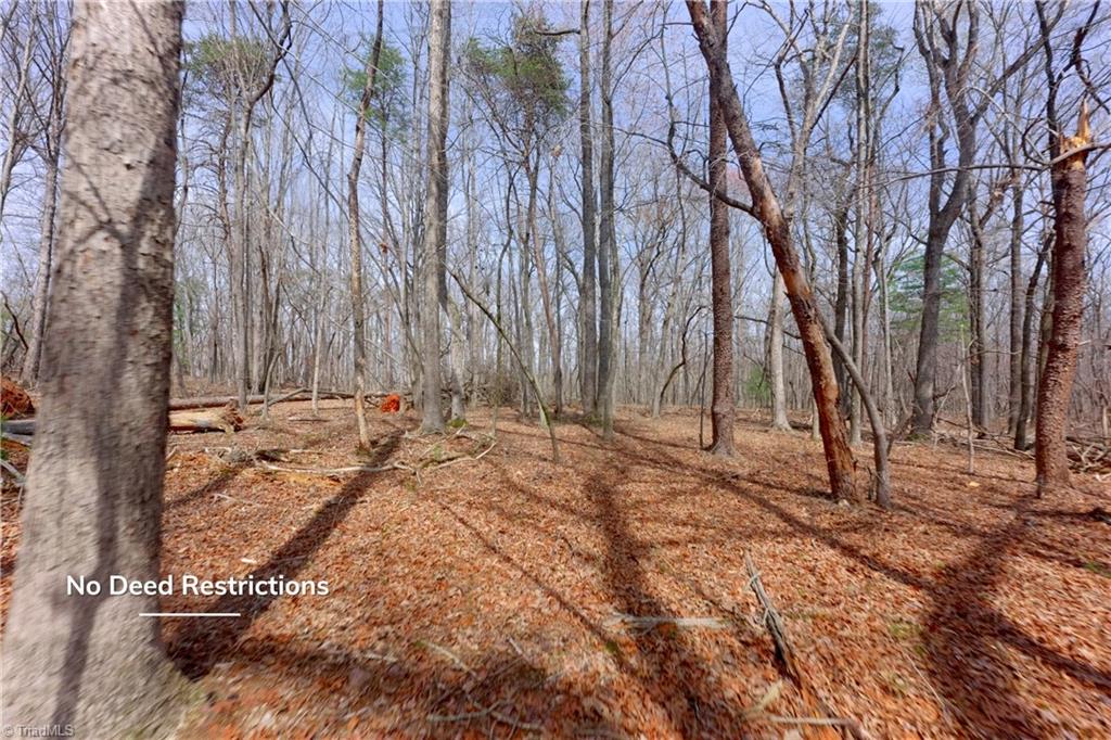 0 Johnson Farm Road, Unit 2 Pilot Mountain, NC 27041 - Photo 4 of 29 Gallery Image 4