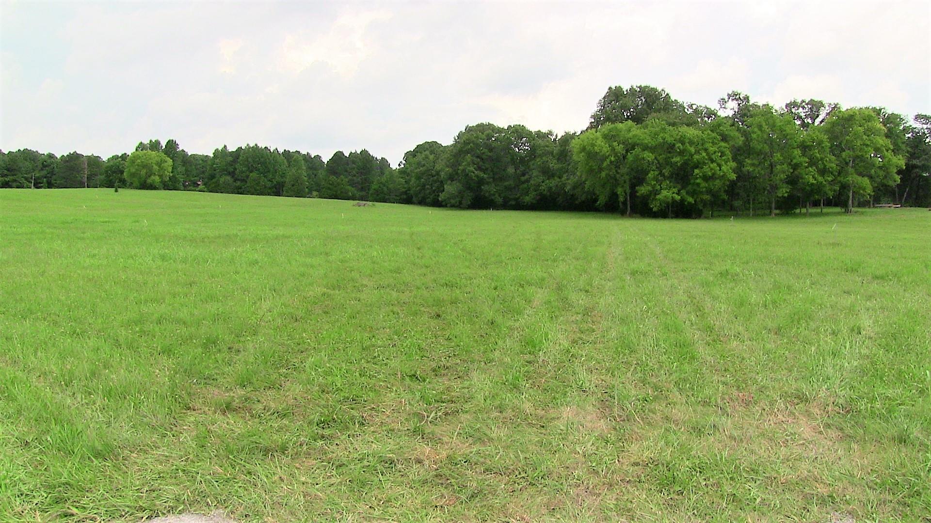1 Academy Road Lebanon, TN 37087 - Photo 1 of 20 a view of a green field with plants