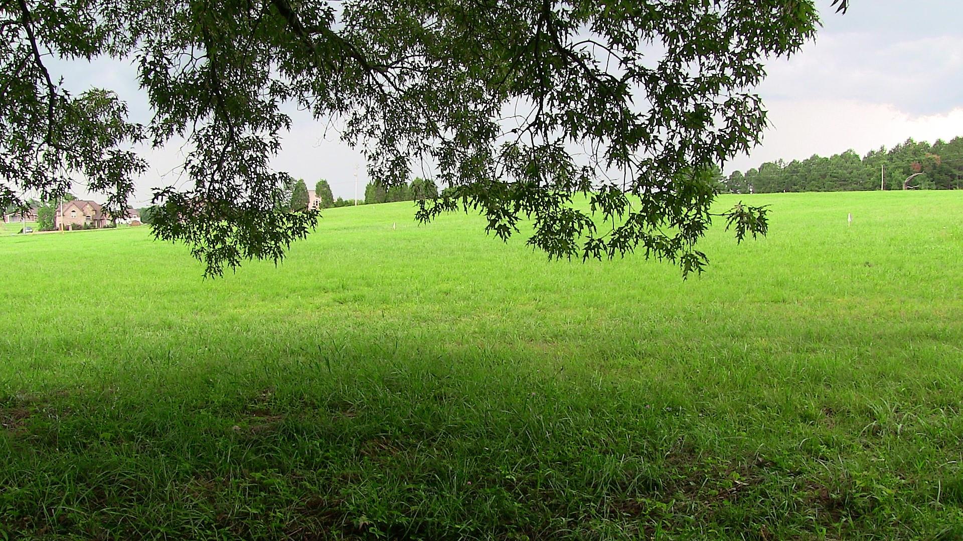 1 Academy Road Lebanon, TN 37087 - Photo 11 of 20 a view of yard with green space