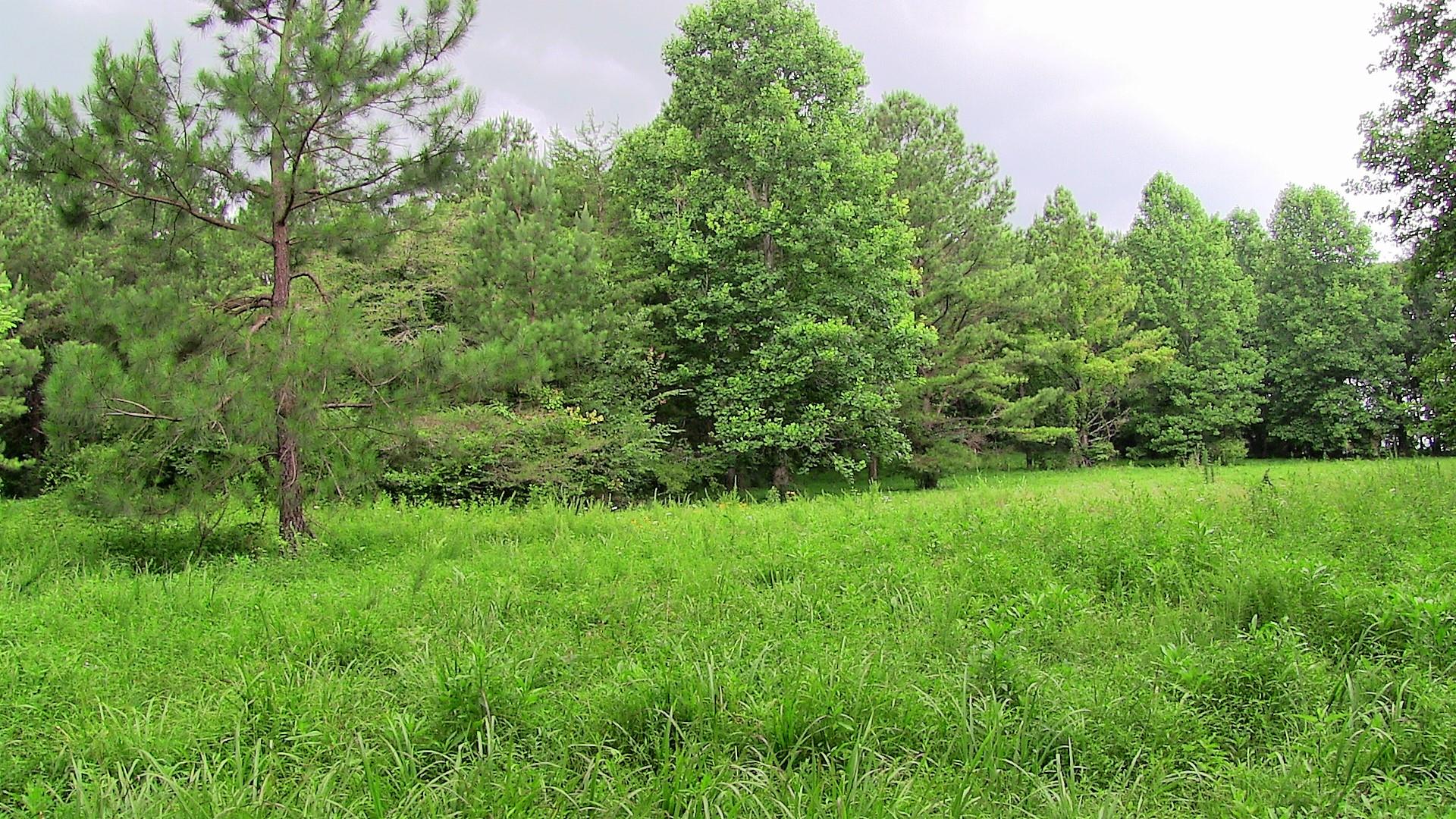 1 Academy Road Lebanon, TN 37087 - Photo 14 of 20 a view of a lush green space