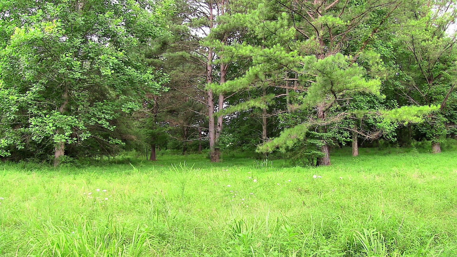 1 Academy Road Lebanon, TN 37087 - Photo 16 of 20 a view of a green field