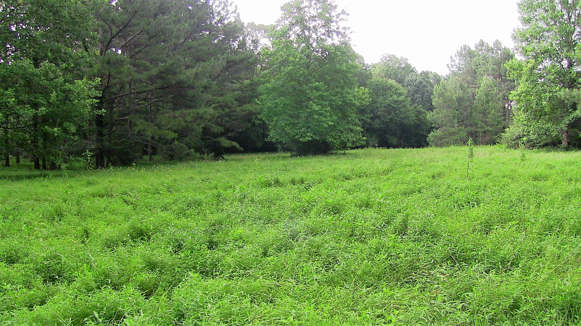 1 Academy Road Lebanon, TN 37087 - Photo 17 of 20 a view of an outdoor space and a yard