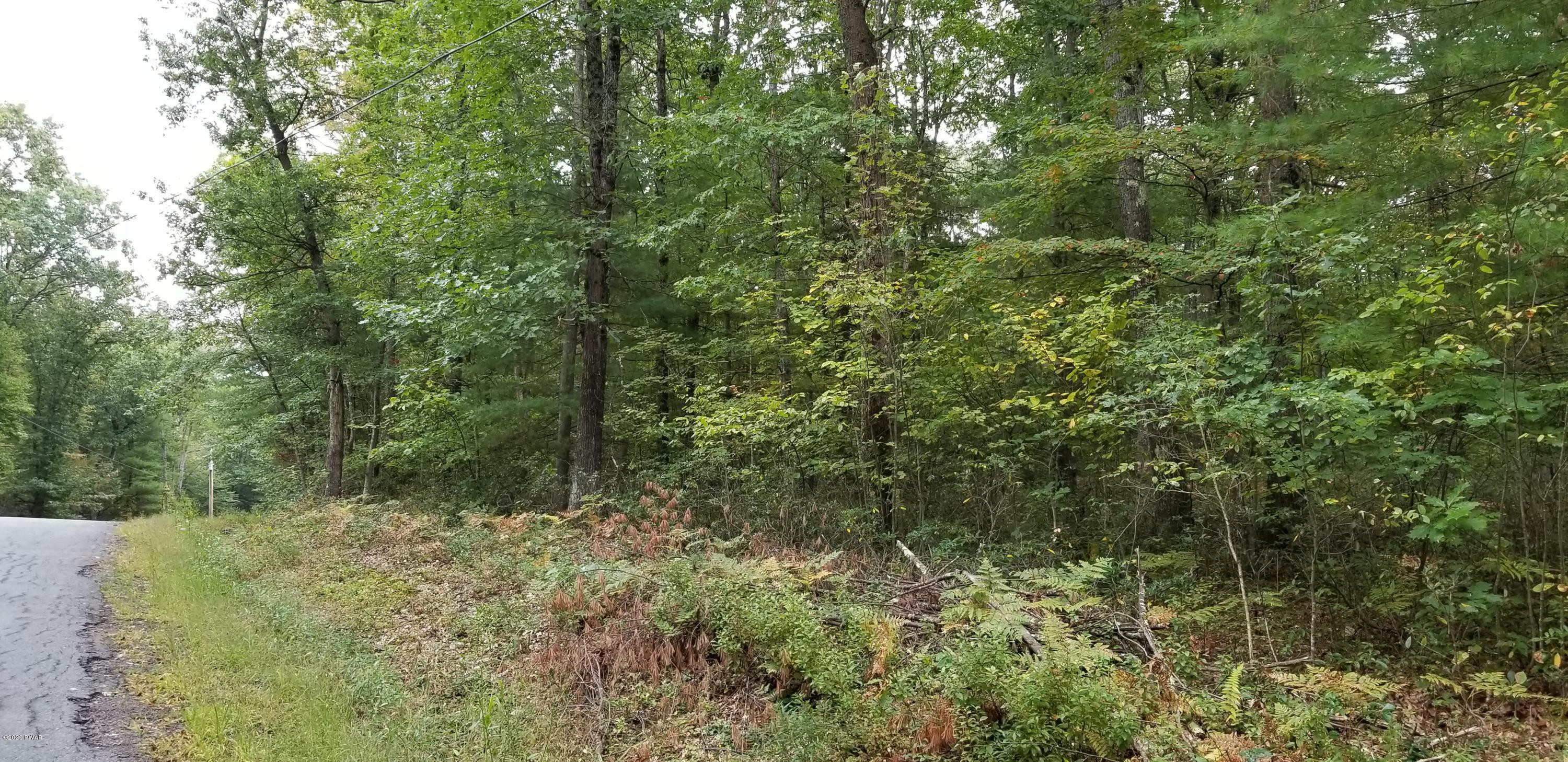 Lot 86 Perry Pond Road Narrowsburg, NY 12764 - Photo 3 of 5 20190916_125142