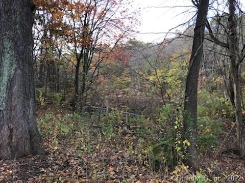 a view of forest