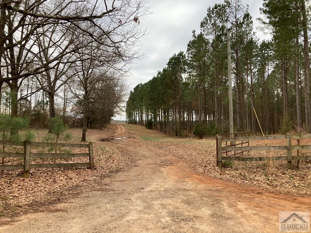 0 Esco Road Comer, GA 30629 - Photo 1 of 1 a backyard of a house with lots of green space