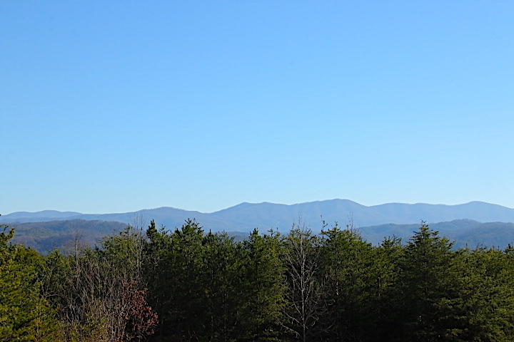 5 Curtis Road Tellico Plains, TN 37385 - Photo 1 of 9 IMG_7496