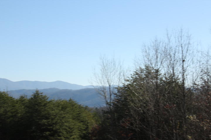 5 Curtis Road Tellico Plains, TN 37385 - Photo 2 of 9 IMG_7497