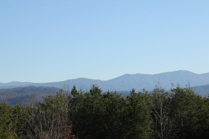 5 Curtis Road Tellico Plains, TN 37385 - Photo 3 of 9 IMG_7499