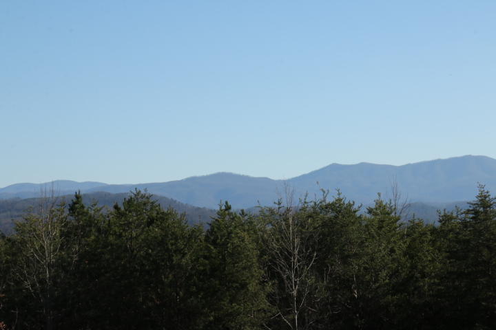 5 Curtis Road Tellico Plains, TN 37385 - Photo 6 of 9 IMG_7502