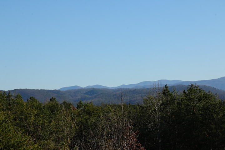 5 Curtis Road Tellico Plains, TN 37385 - Photo 7 of 9 IMG_7503
