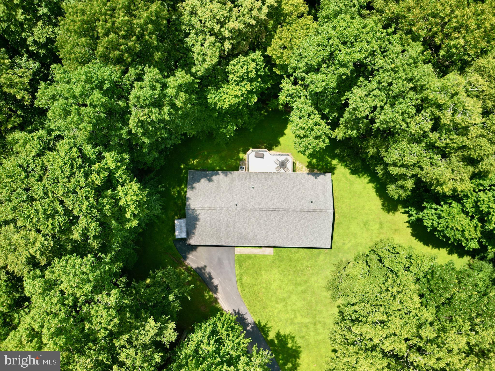 Quiet lot surrounded by trees offers privacy