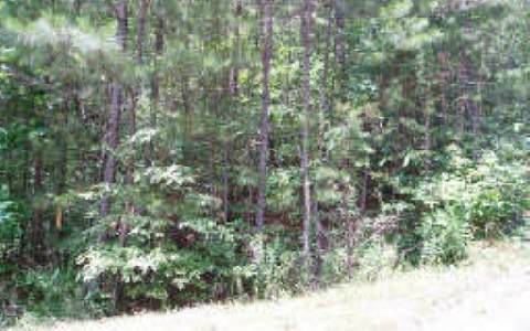 Old Burnt Mountain Road Jasper, GA 30143 - Photo 1 of 1 Main View
