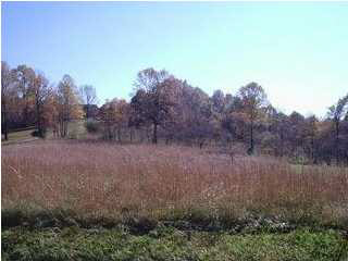 523 Clutter Road Lynnville, IN 47619 - Photo 1 of 1 Gallery Image 1